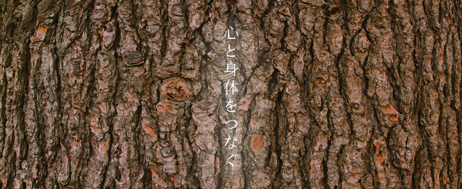 タイマッサージ木霊kodamaトップ