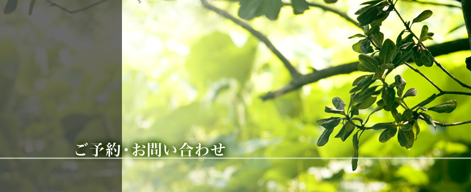 タイ古式マッサージ木霊kodamaご予約