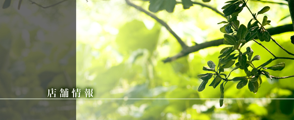 タイ古式マッサージ木霊kodama店舗情報